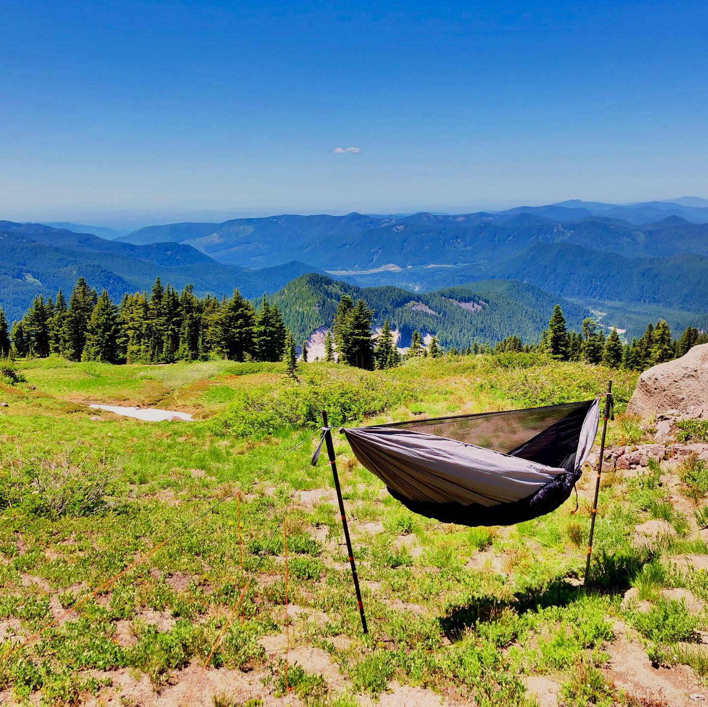 Single tree hammock stand